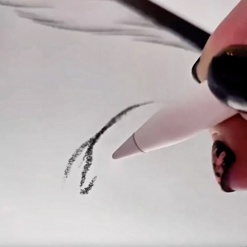 GIF animata di ricamo personalizzato su felpa con macchina da ricamo SWF